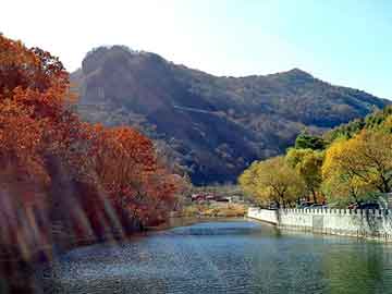 新澳天天开好彩资料大全，大田梅园山庄